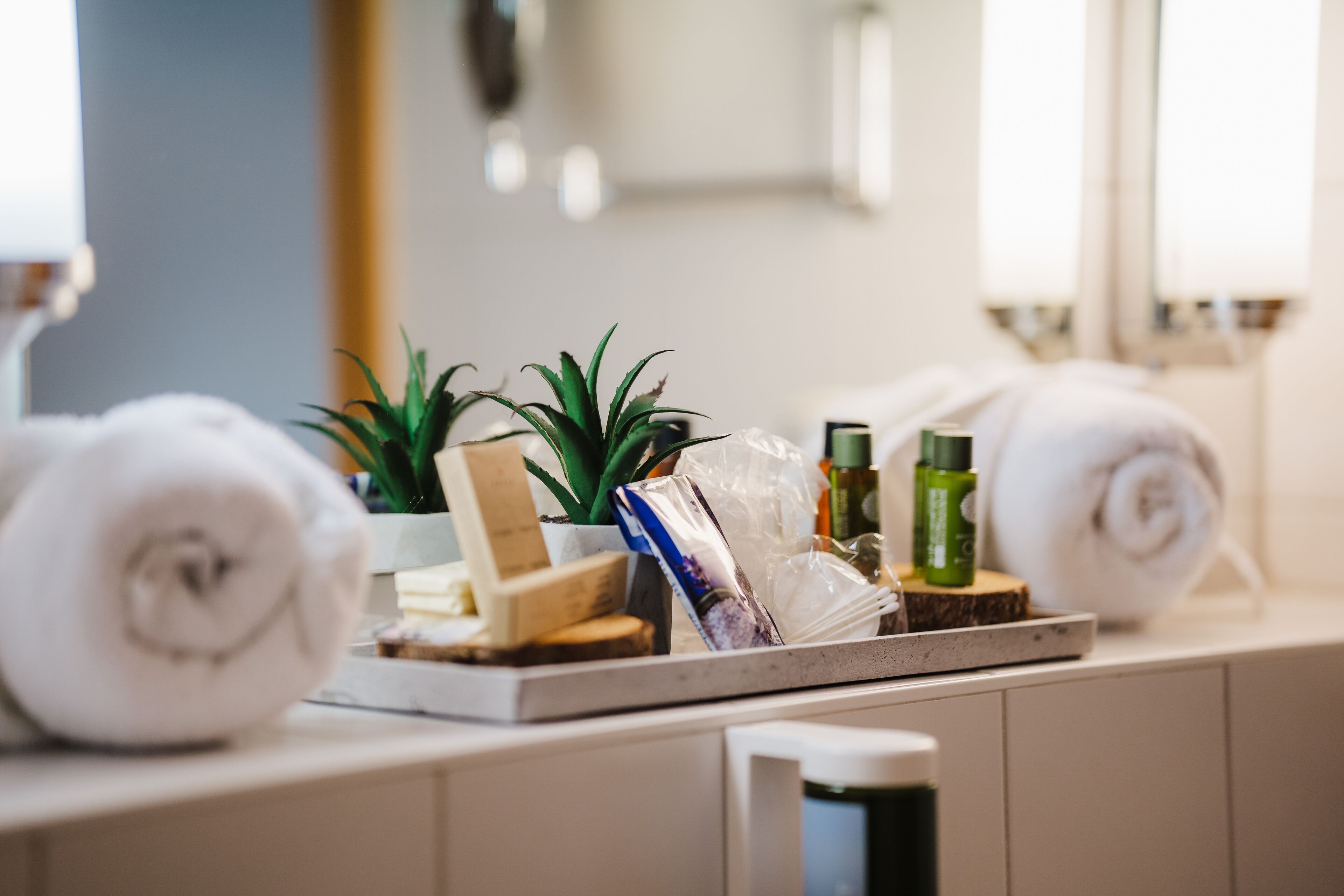 A bathroom counter with toiletries, a potted plant, and rolled towels.