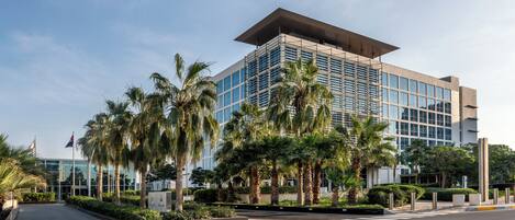A modern hotel with a glass facade, palm trees, and a clear sky.
