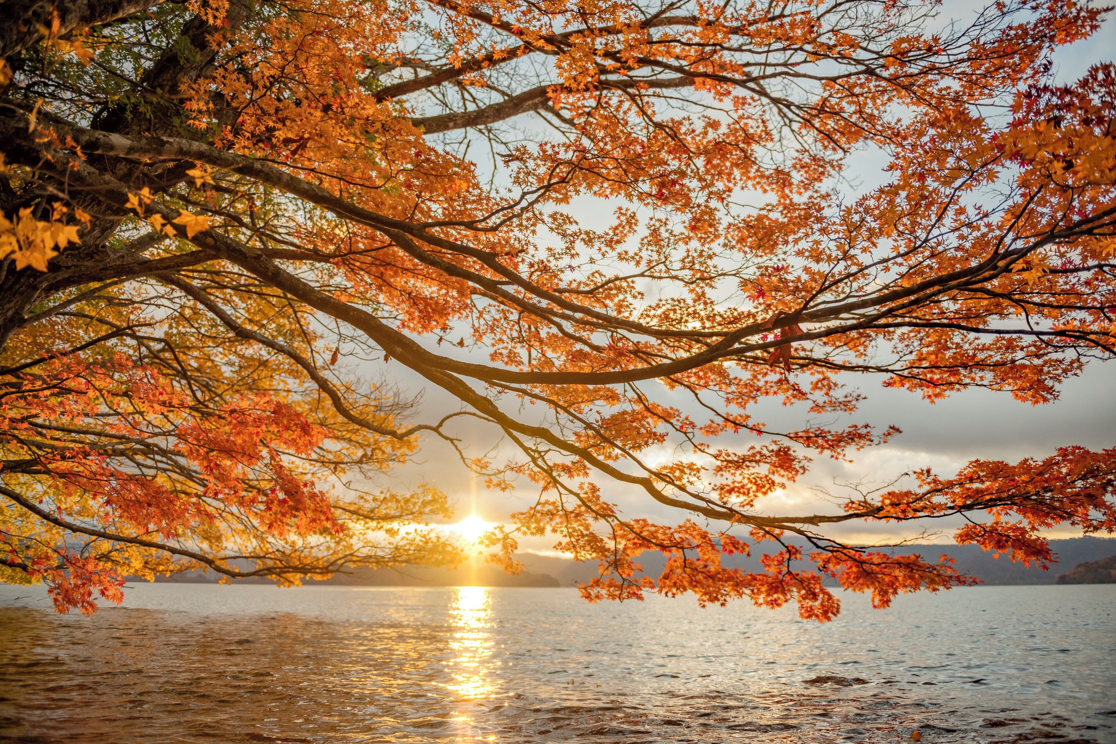 land view from property