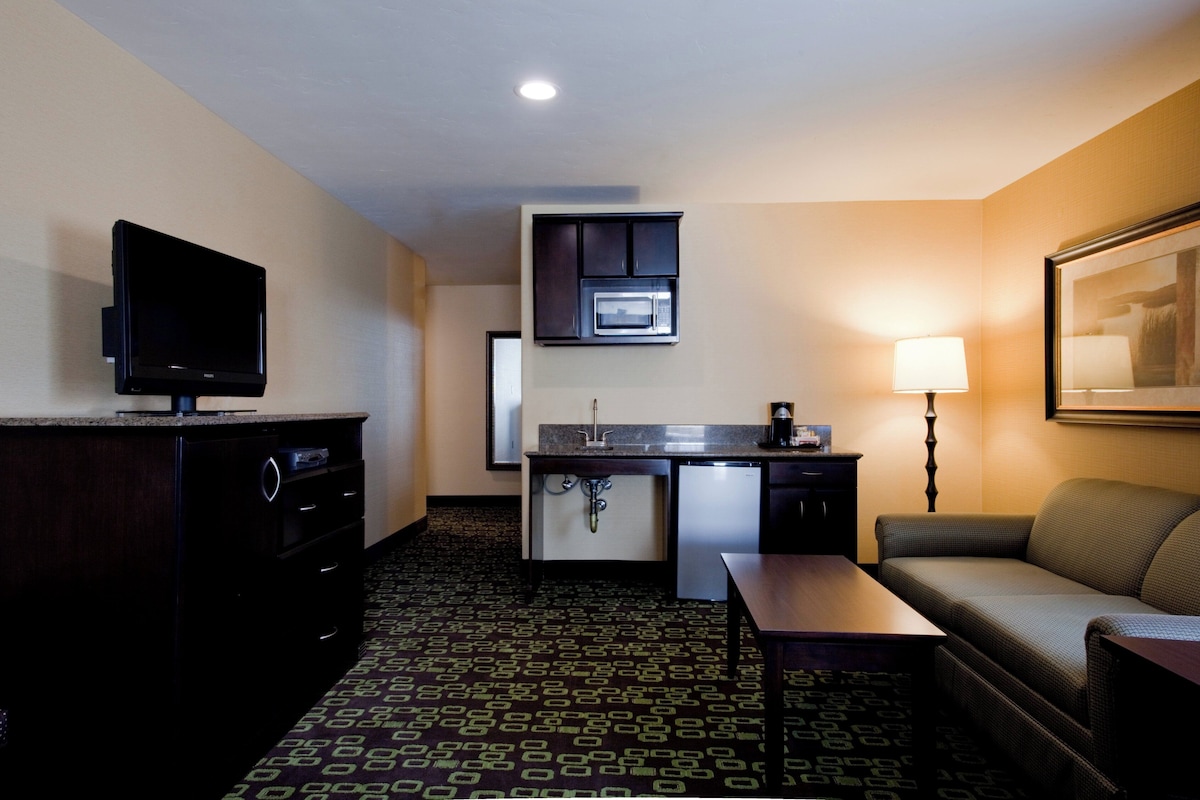 Quarto de hotel com cozinha compacta, televisão, sofá, luminária e carpete estampado.
