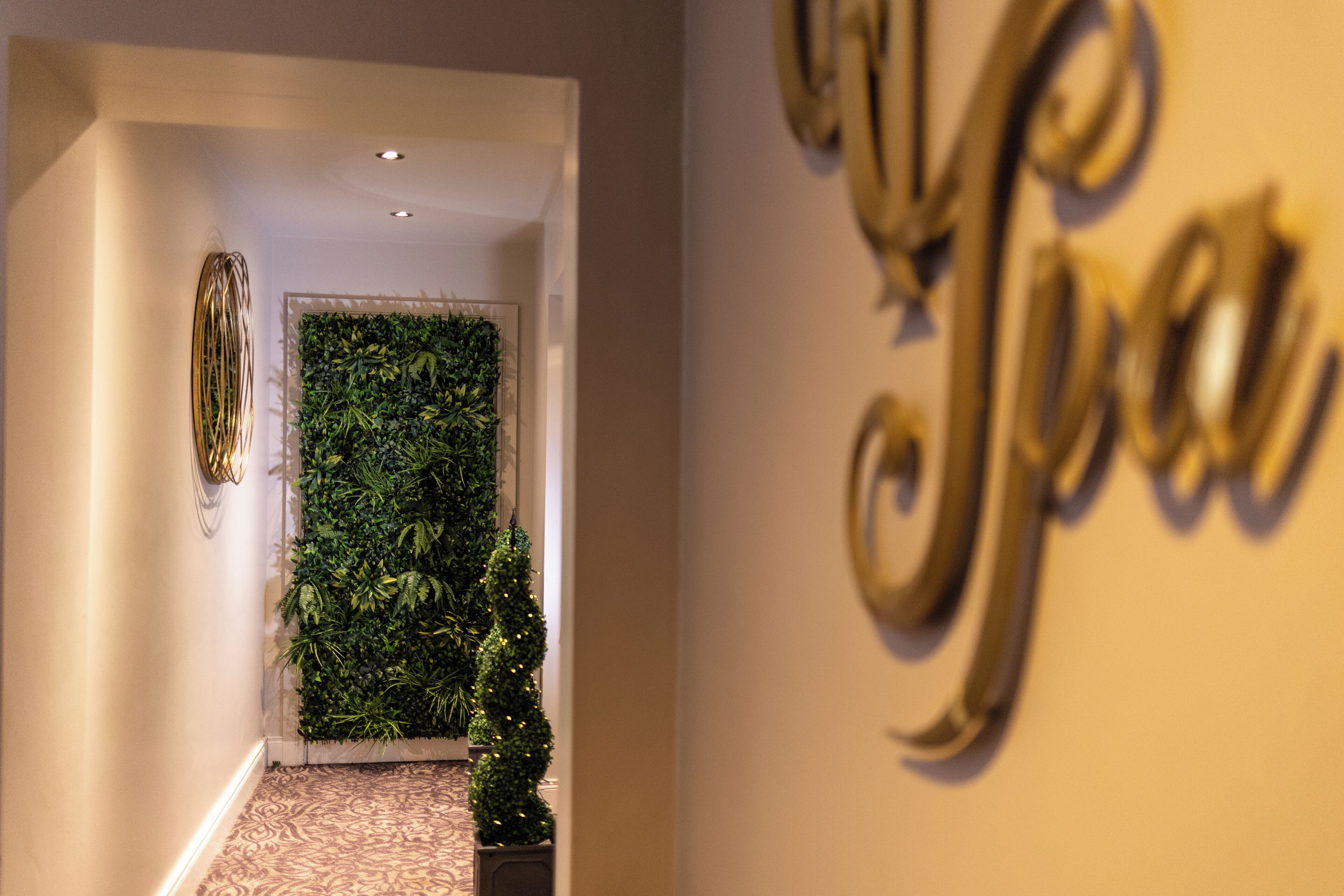 A hallway with a decorative wall and a green wall with plants.