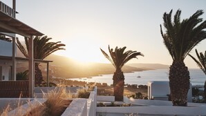 Une terrasse en bord de mer, agrémentée de palmiers et offrant une vue sur l’océan.