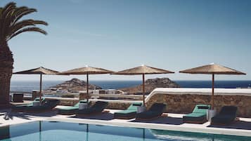 Seasonal outdoor pool, pool umbrellas, pool loungers