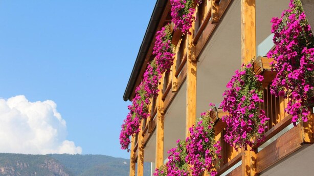 A building with wooden balconies adorned with vibrant flowers.