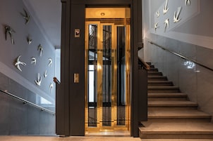 Um elevador moderno com porta de vidro, rodeado por uma escadaria e esculturas de pássaros fixadas na parede.