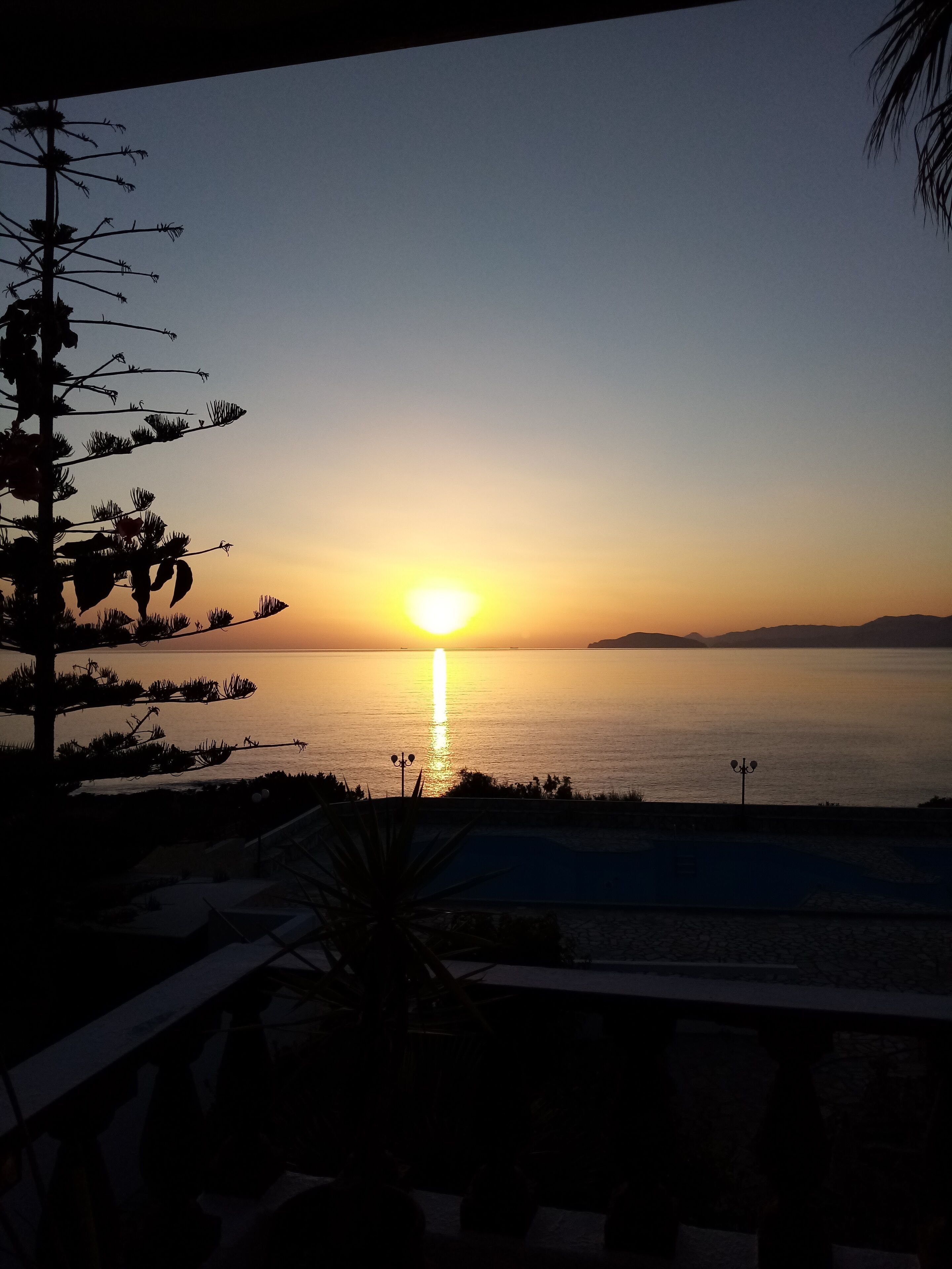 A sunset over a calm sea with a silhouette of a tree and a pool area in the foreground.