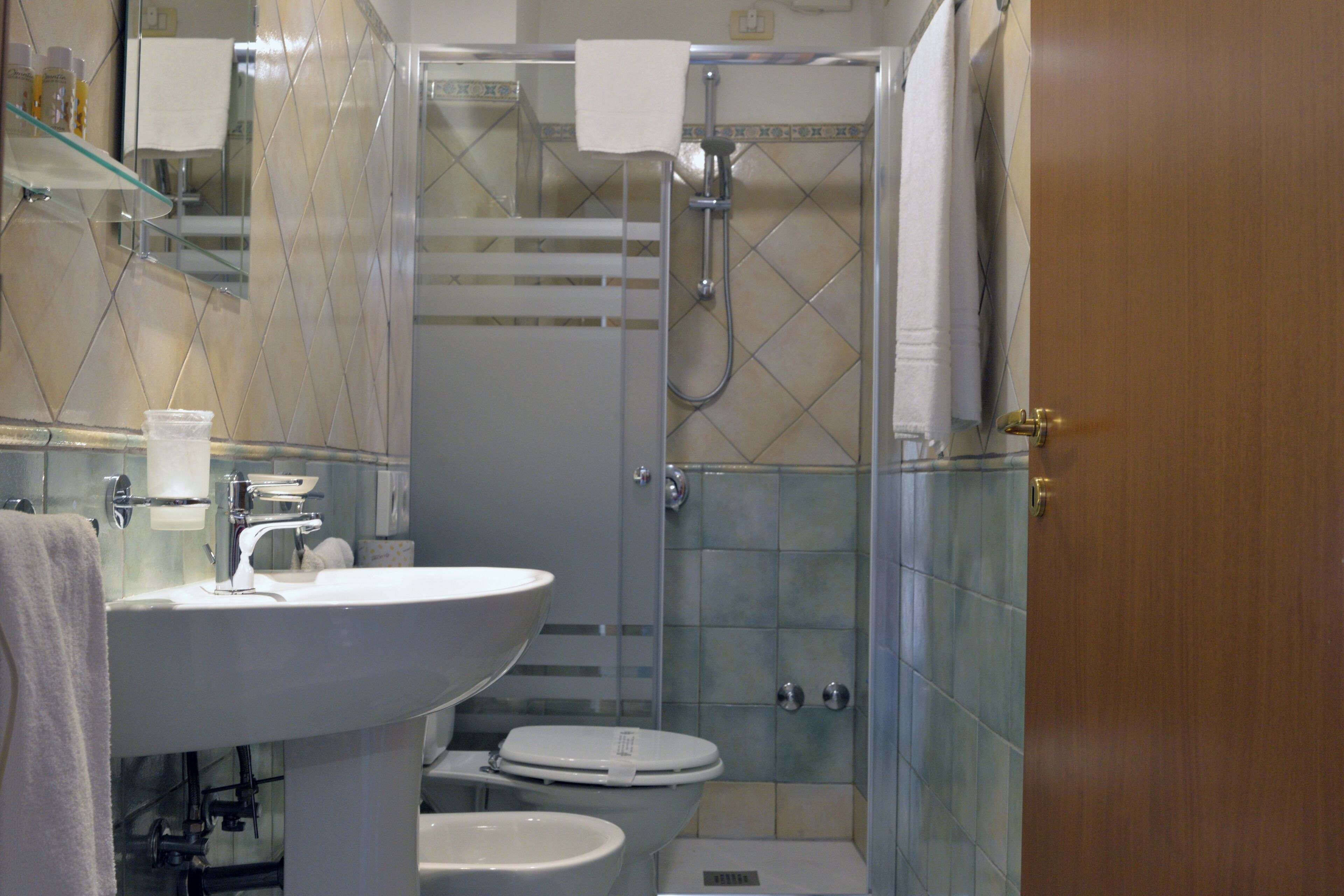 shower, free toiletries, hair dryer, bidet