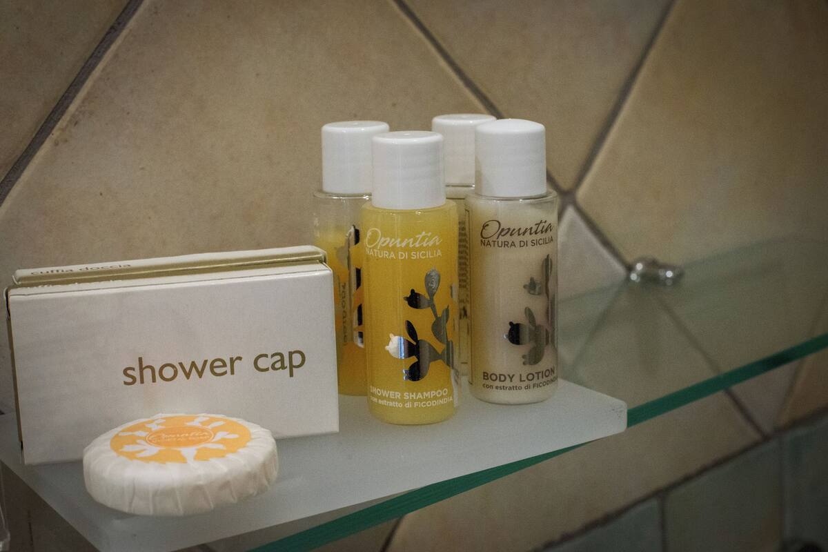 double room | bathroom amenities | shower, free toiletries, hair dryer, bidet