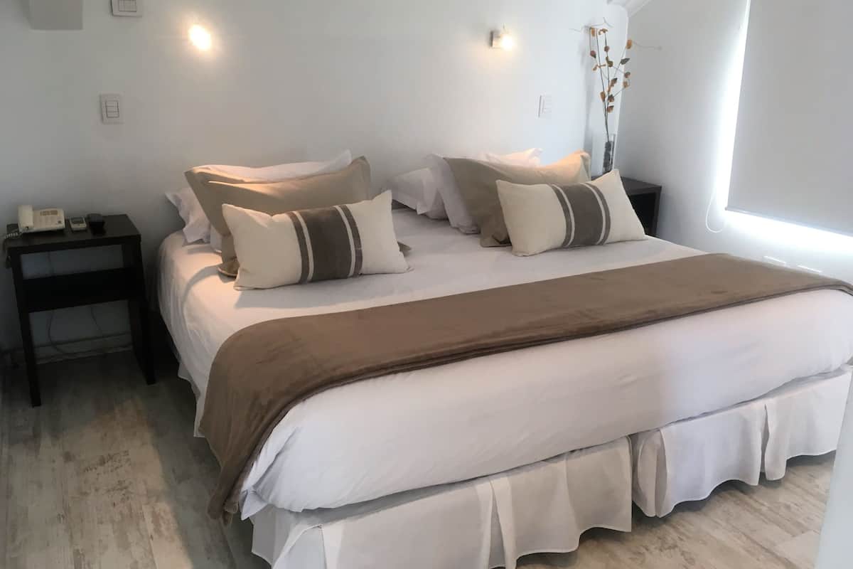 A bedroom with a large bed, two bedside tables, a nightstand, and a window with a plant.