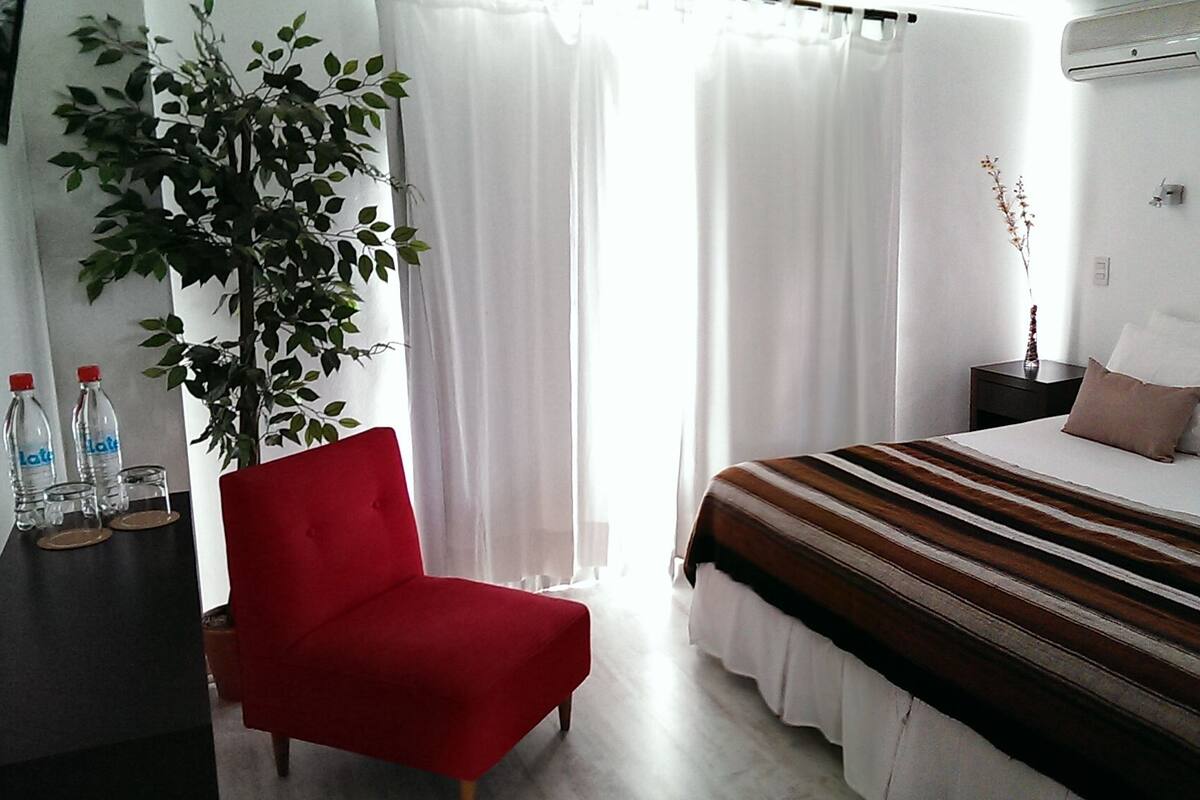 A hotel room with a bed, a red chair, a plant, and a nightstand with a vase.