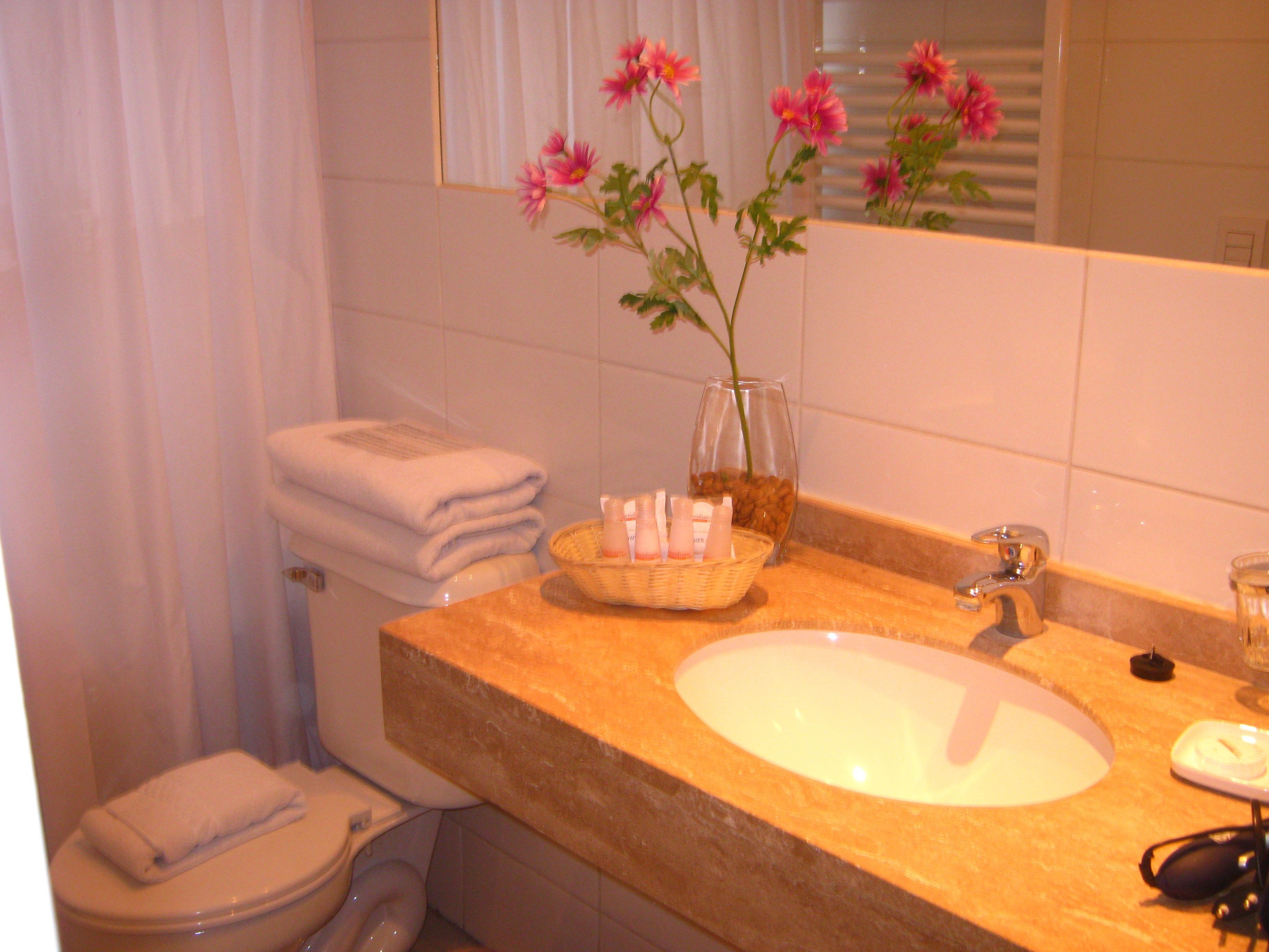 Un bagno con il water, un lavandino e un vaso con fiori.