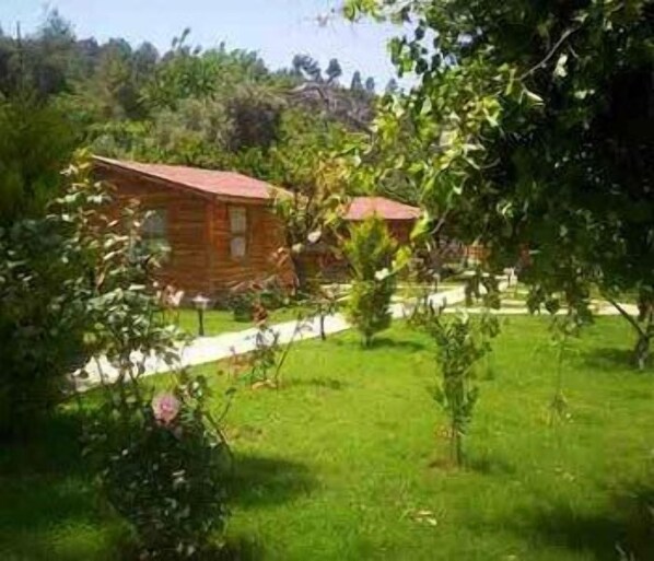 حديقة