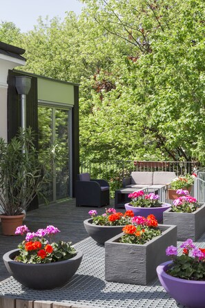 Área para eventos al aire libre