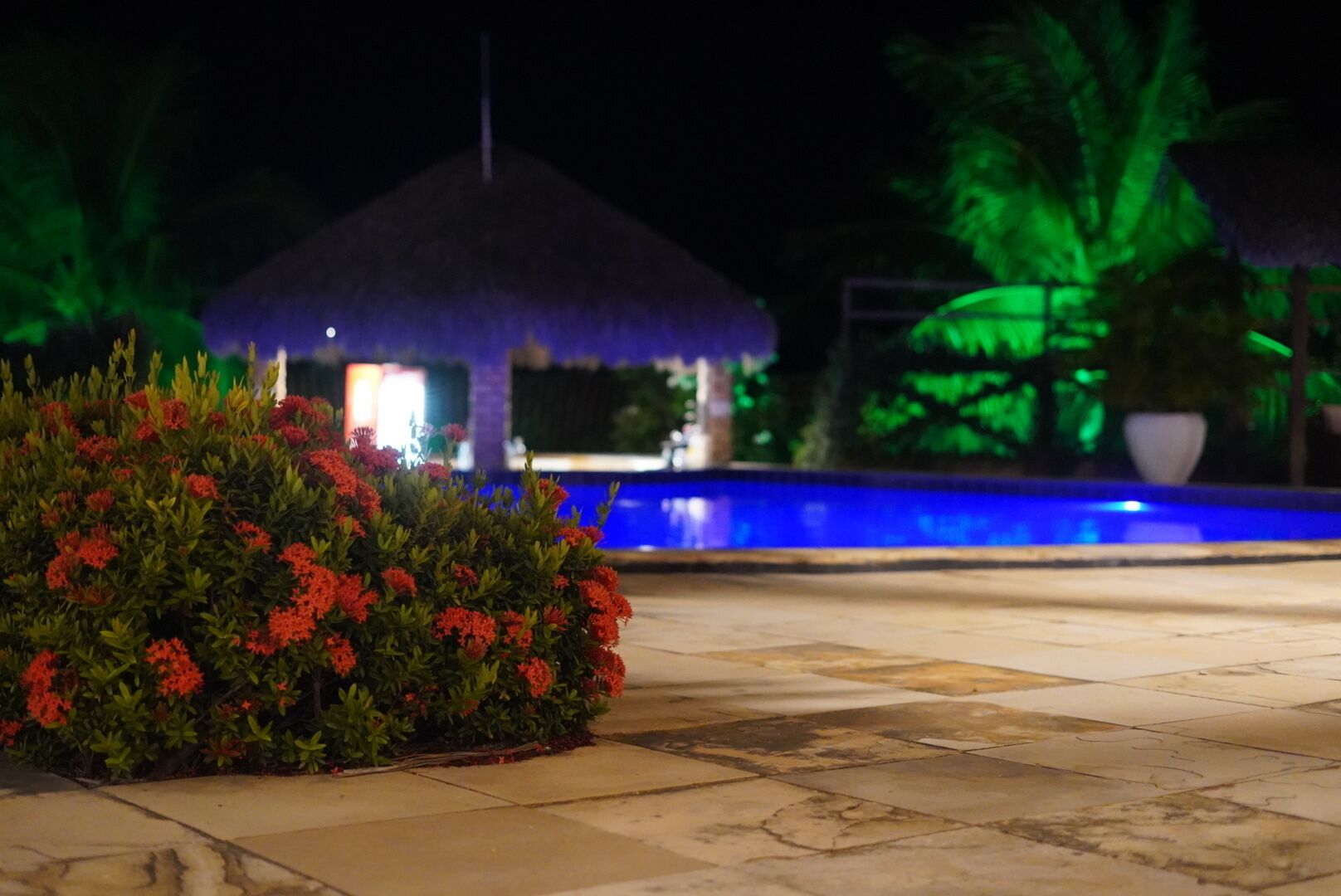 A night scene with a thatched-roof gazebo, a pool, and a flower bed.