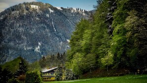 Uma cabana na montanha com vista para uma montanha arborizada.