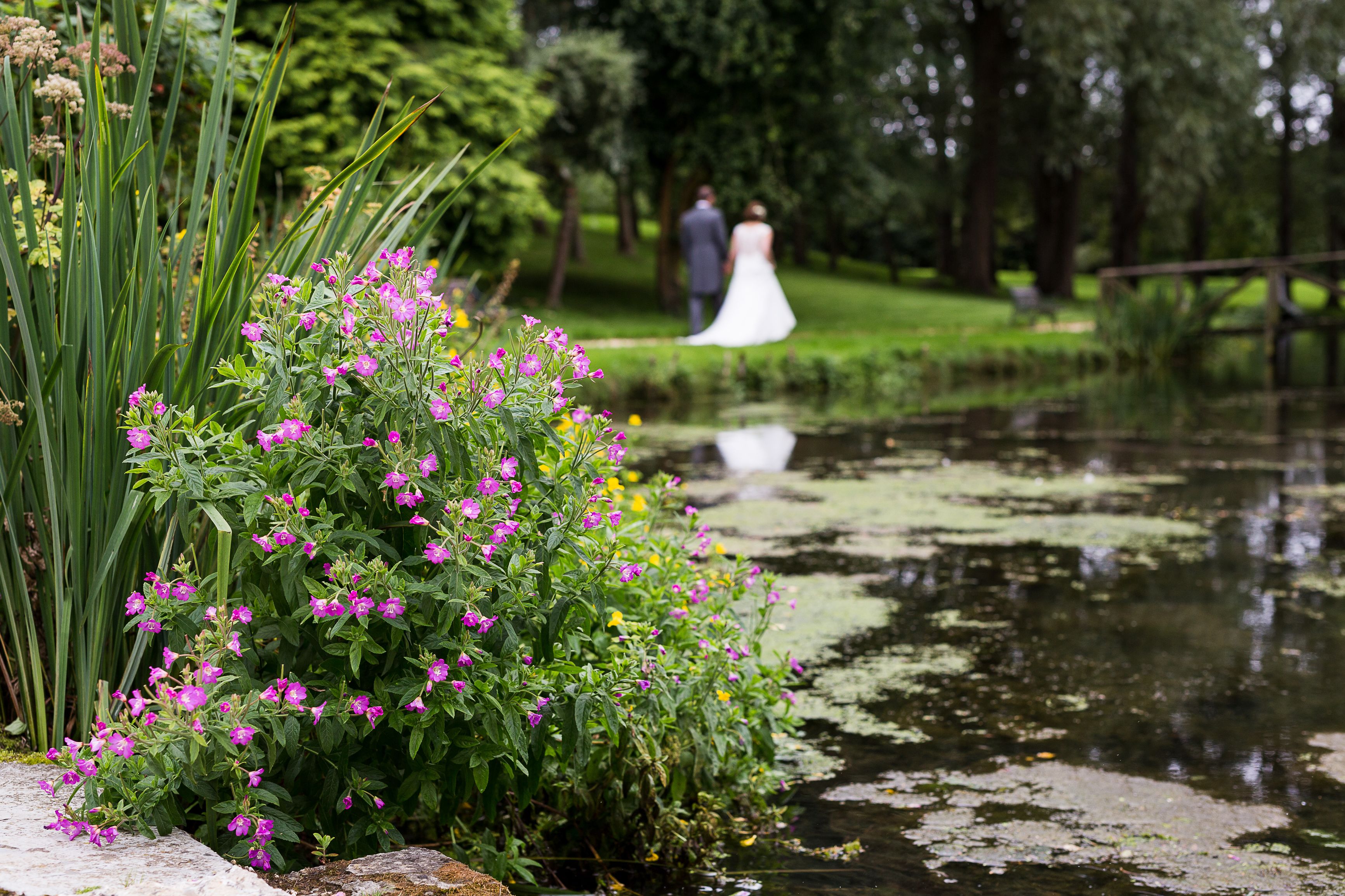 Un jardin avec un étang, une mariée et un marié, et un pont en bois.