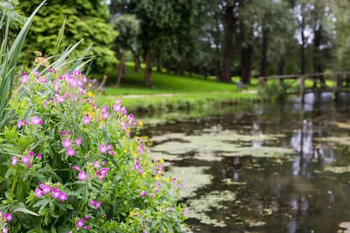 Jardines del alojamiento