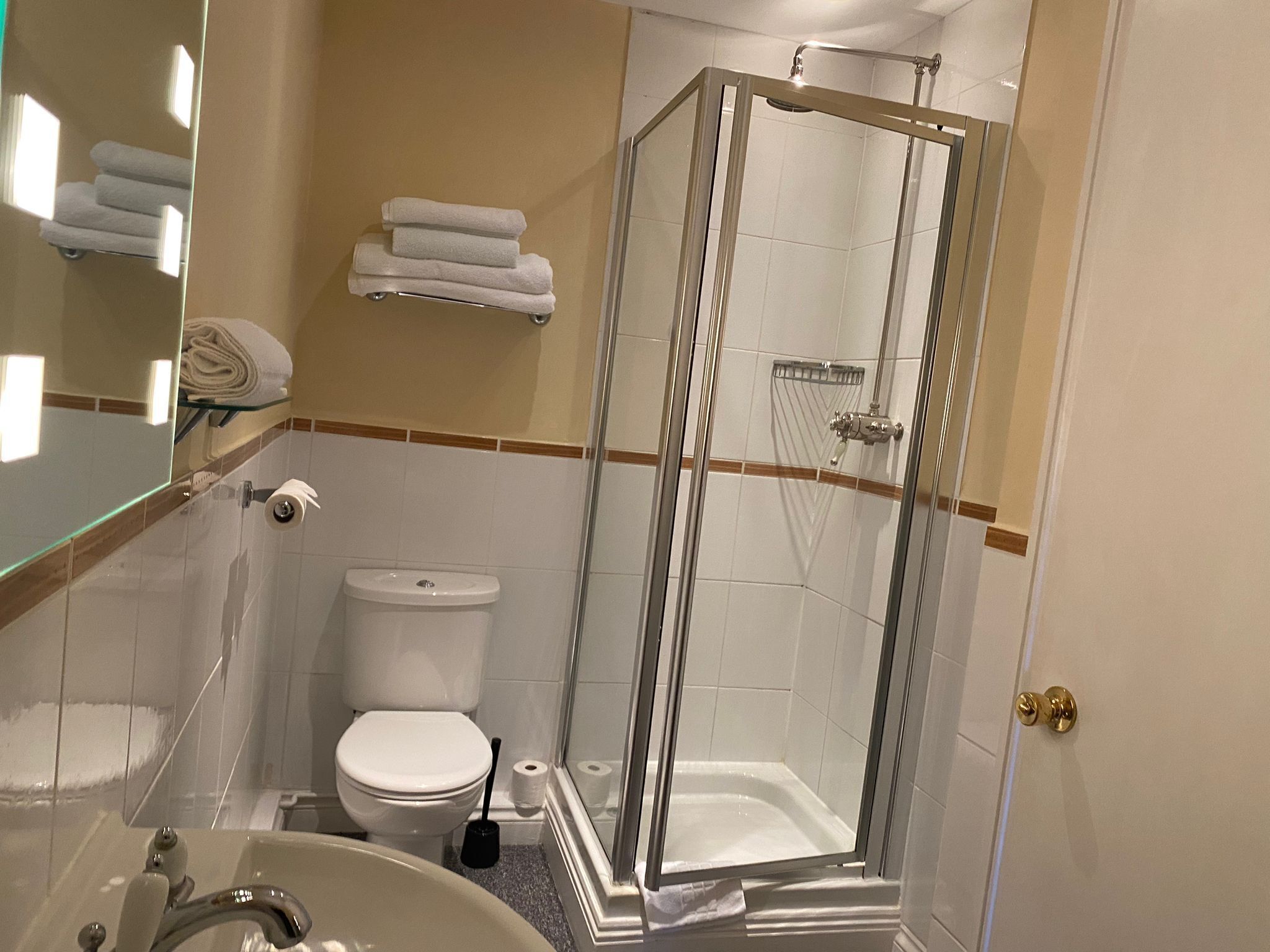 Un bagno con doccia vetrata, un water, un lavandino e un portasciugamani.