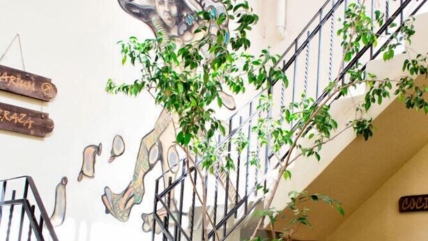 Una escalera con barandilla metálica, una planta en maceta y una pared con un mural colorido y señalizaciones.