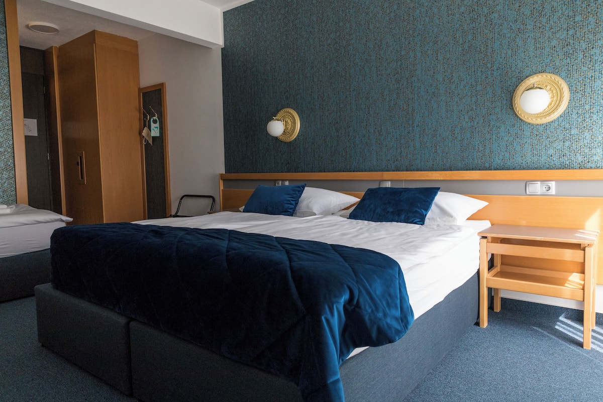 Habitación de hotel con una cama grande, una mesita de noche de madera, un armario y un espejo adosado a la pared.