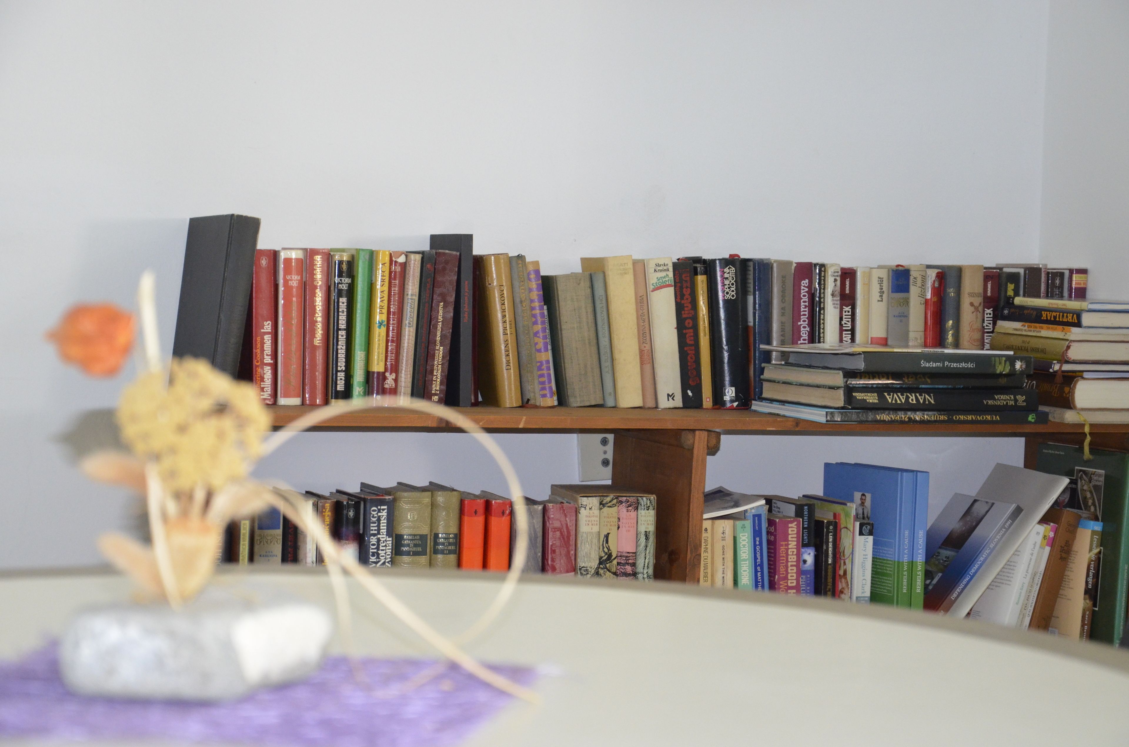 Una estantería llena de libros, un jarrón con flores secas y una piedra.