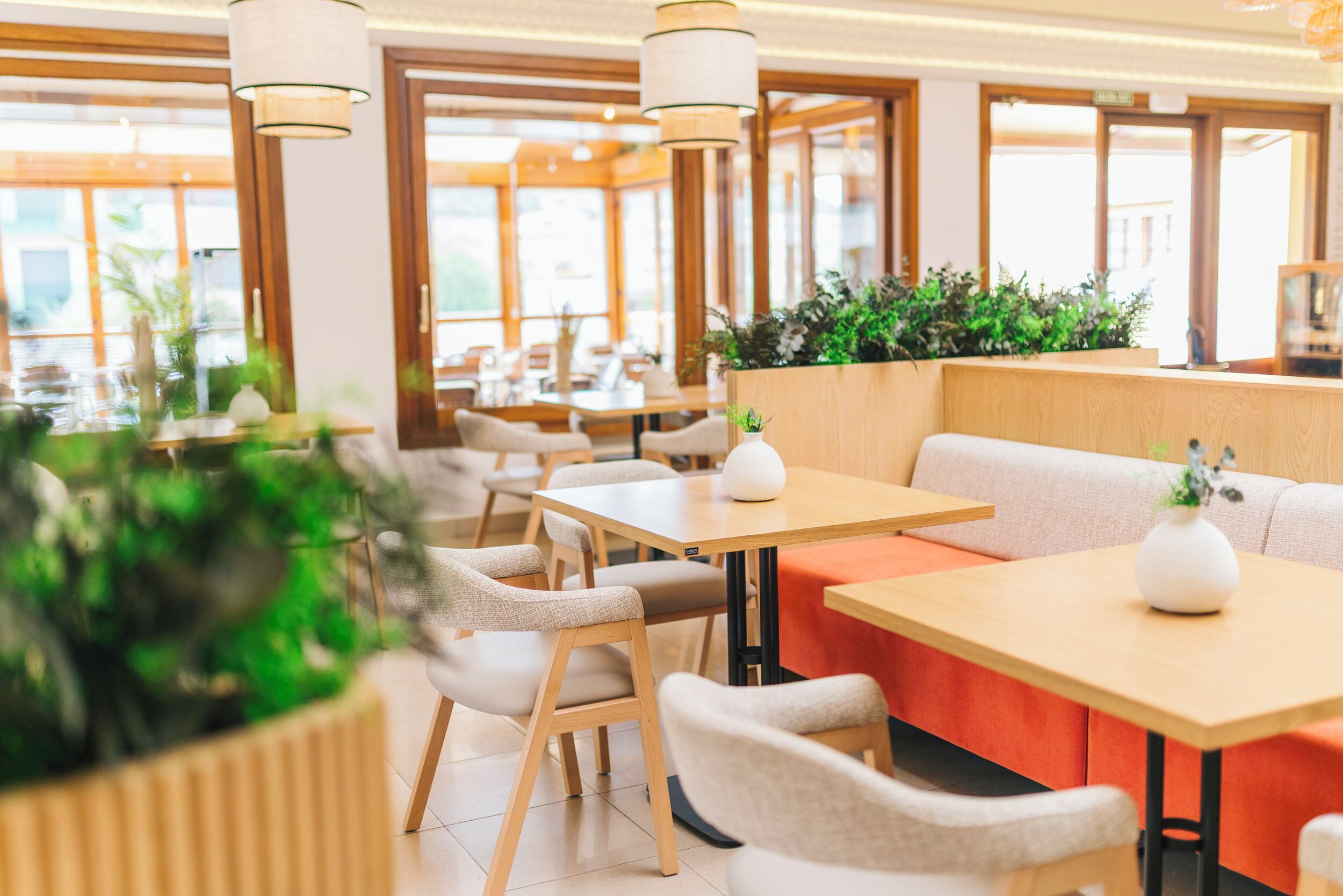 Un comedor moderno con mesas y sillas de madera, plantas en macetas y un interior luminoso.
