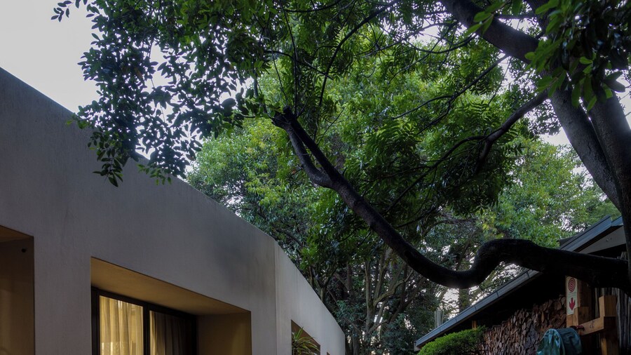 African Rock Hotel & Spa, a "Boutique Lifestyle Resort"