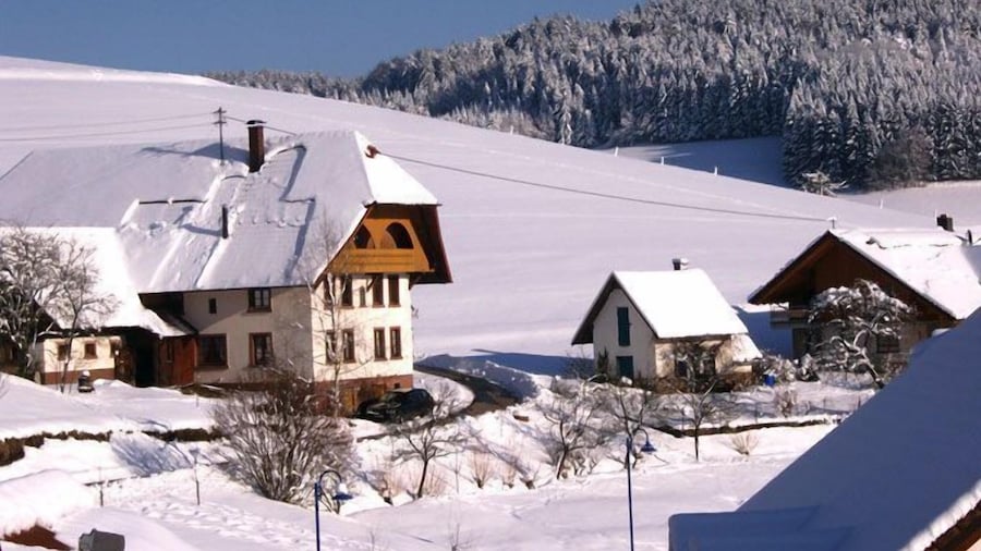Gasthof Hirschen-Dorfmühle