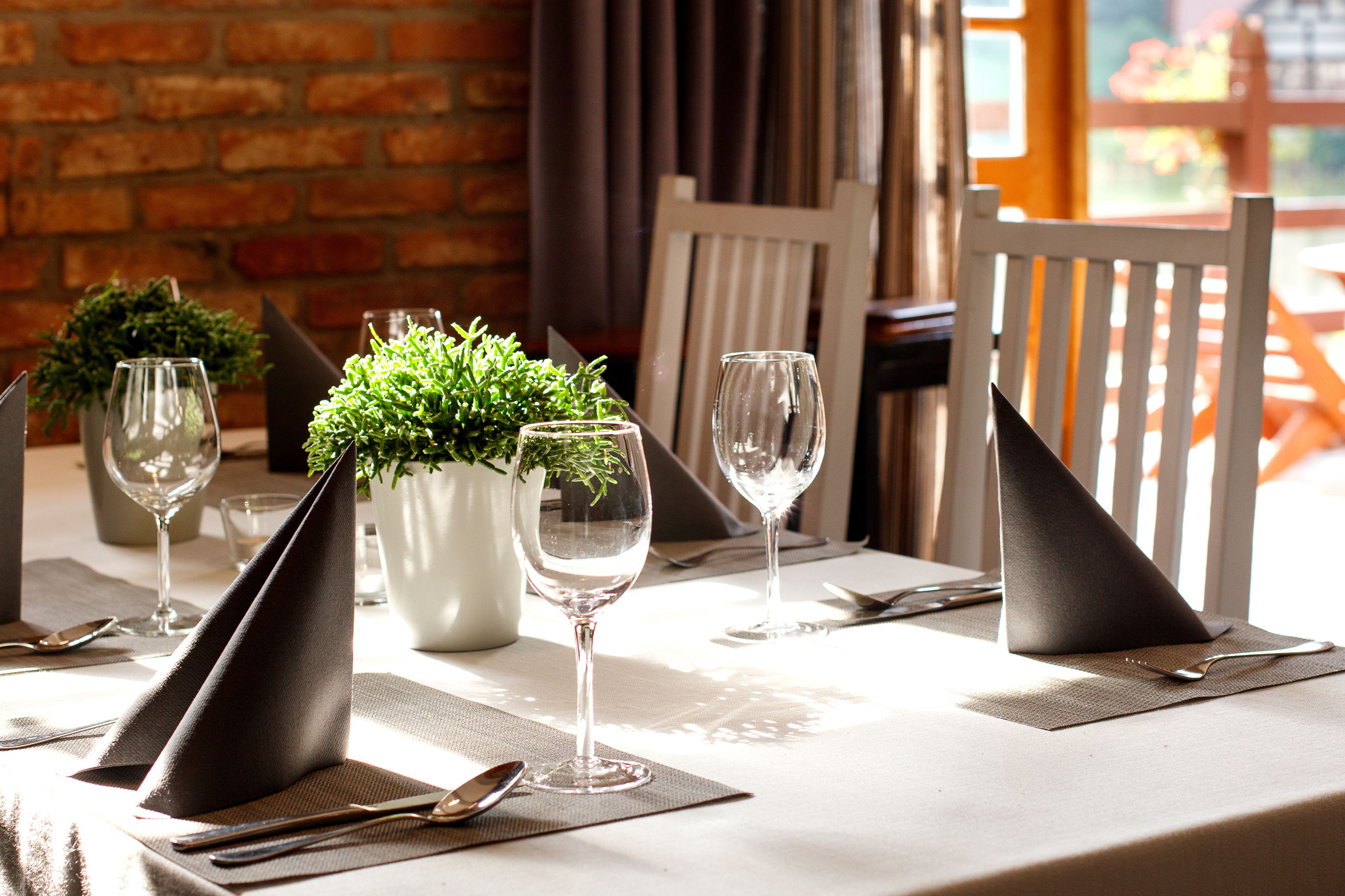 A dining table set with wine glasses, napkins, and a potted plant.