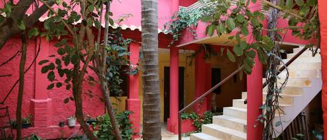 Un patio con una escalera, una palmera y paredes rojas.