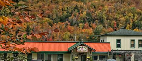 A hotel with a red roof and green trim, surrounded by autumn foliage.