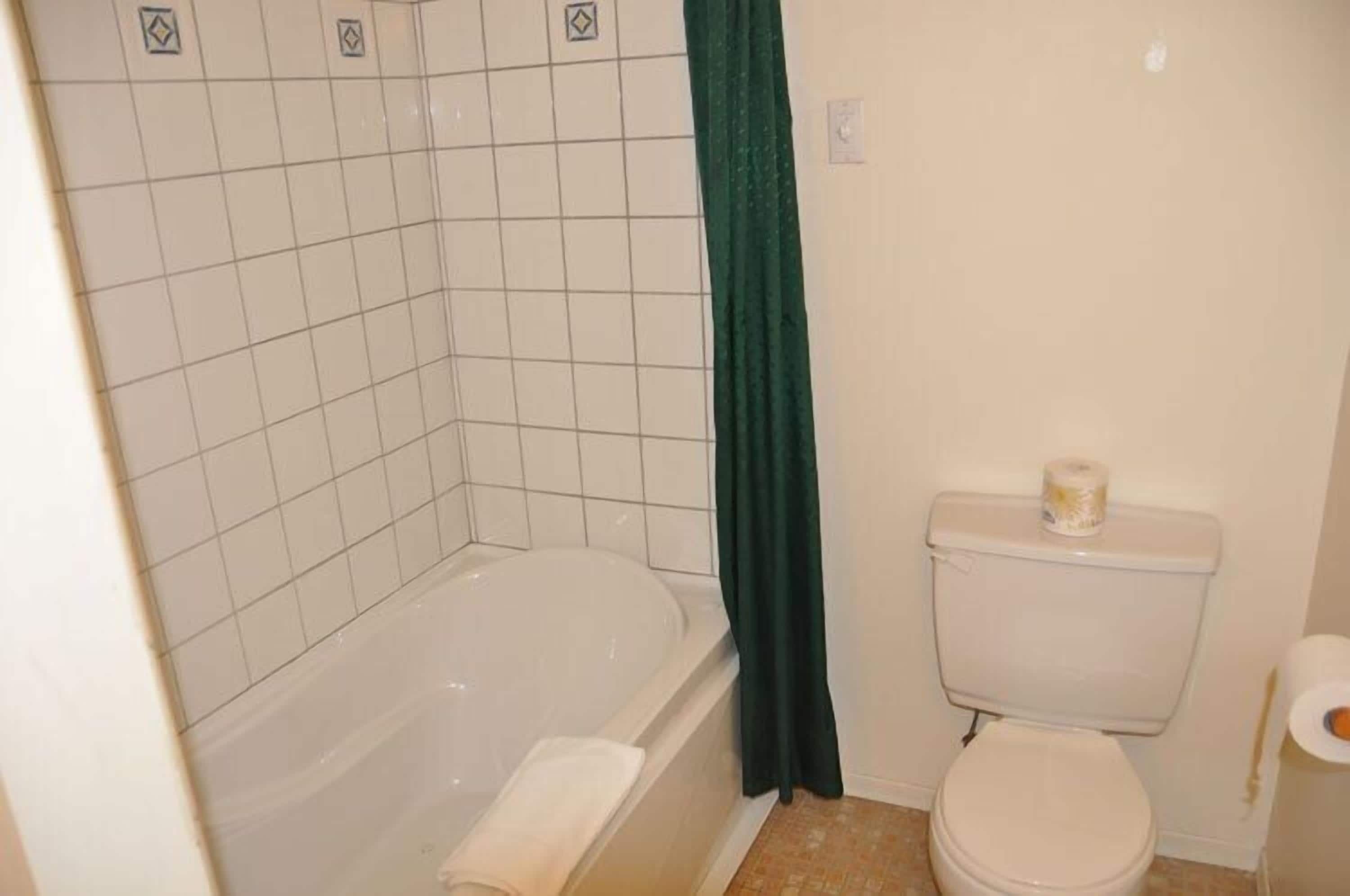 A bathroom with a bathtub, toilet, and green shower curtain.