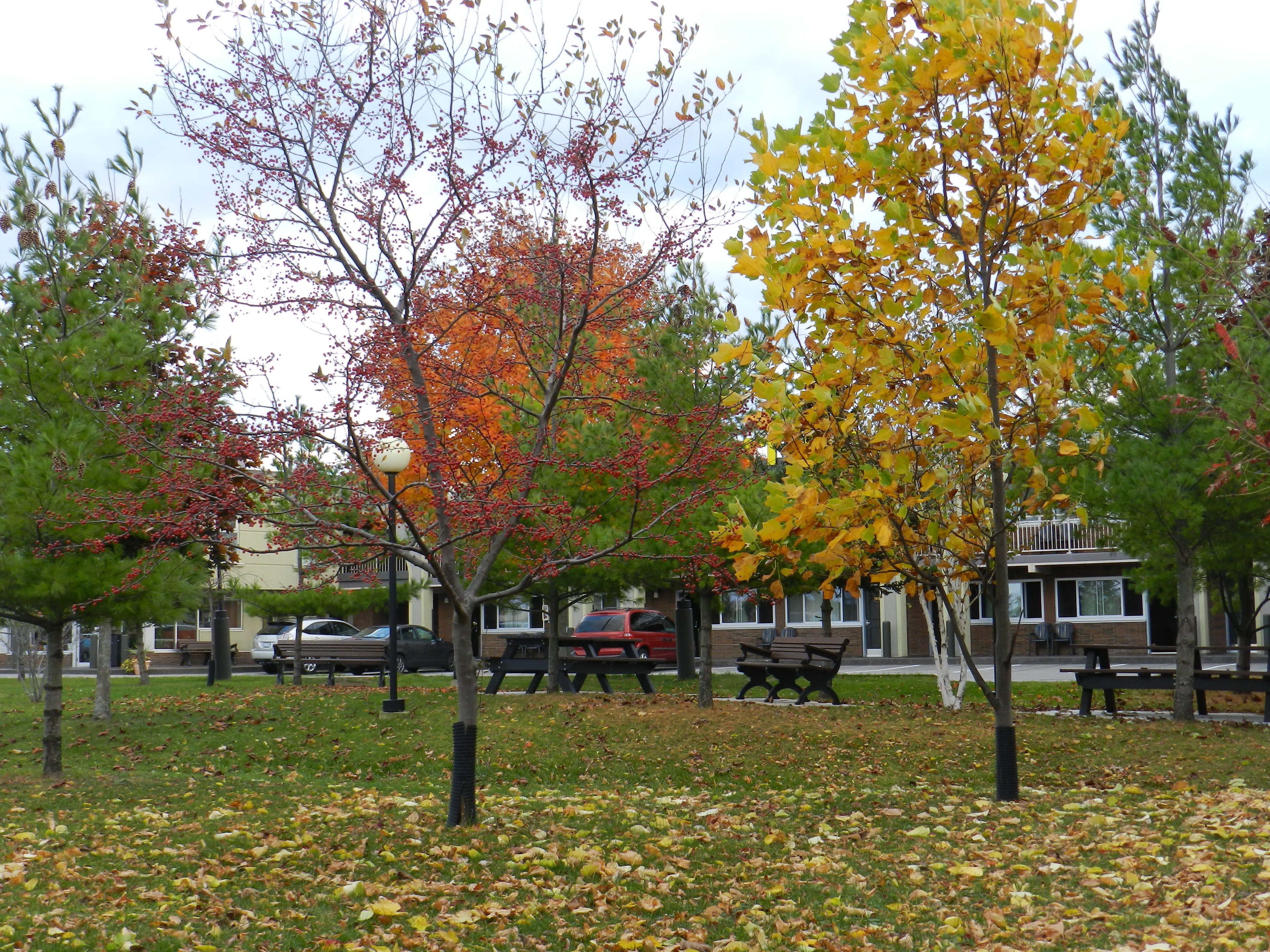 Área da propriedade