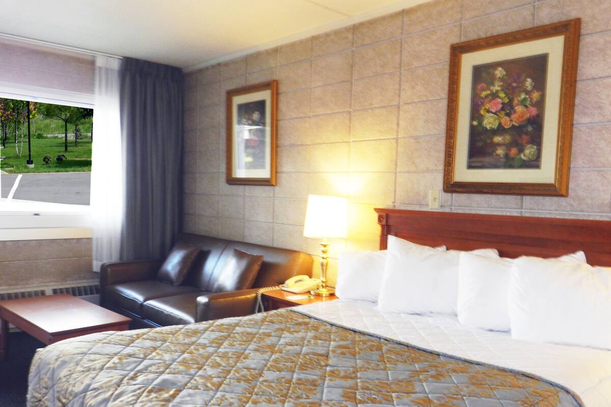 Una camera d'albergo con un letto, un divano in pelle, una scrivania e una finestra vista parco.