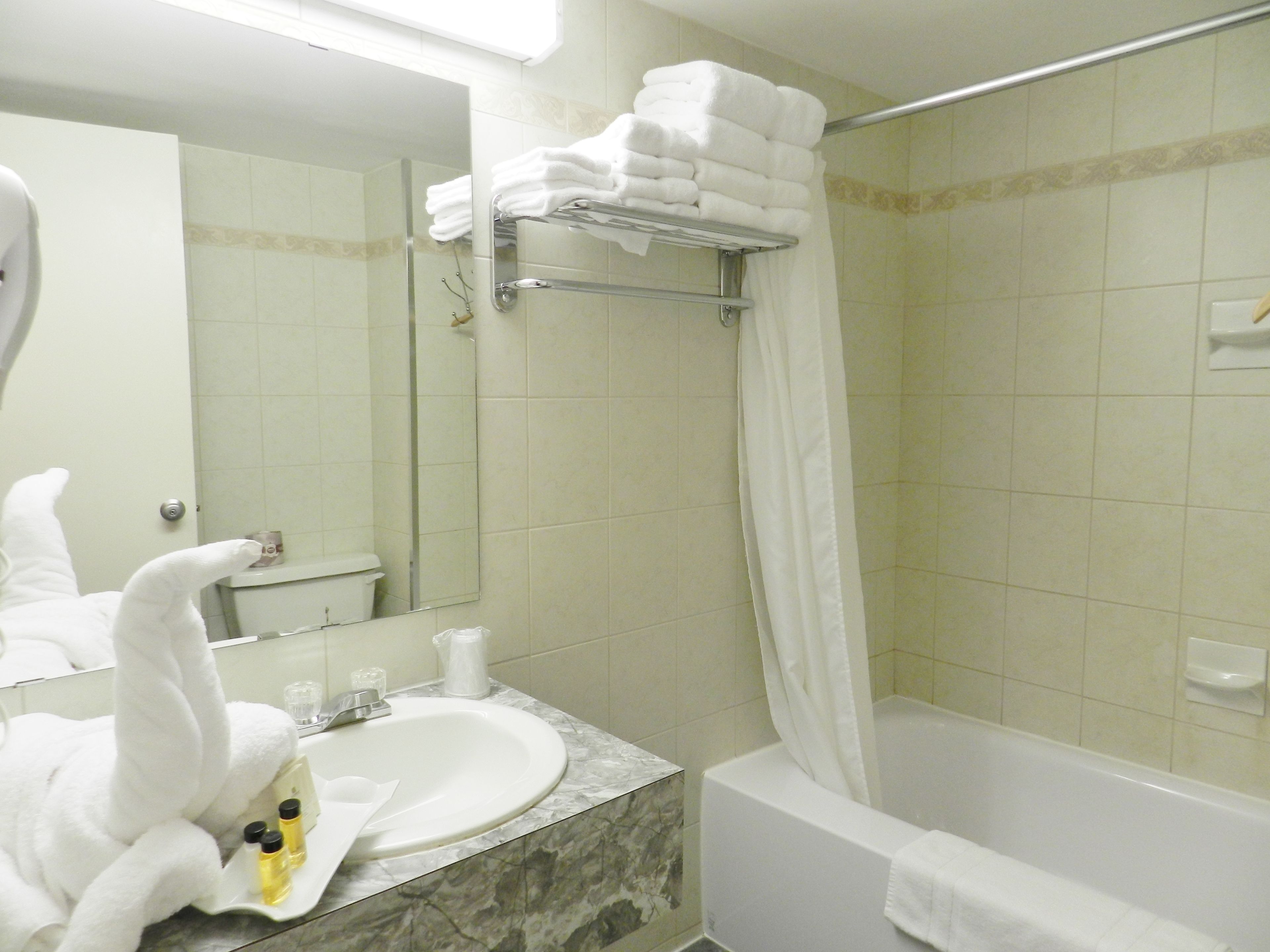 standard room, 1 queen bed, non smoking | bathroom | combined shower/bathtub, hair dryer, towels