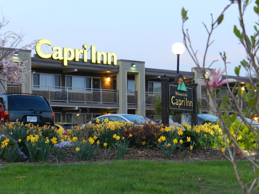 A hotel named Capri Inn with a signboard, a parking lot, and a garden with daffodils.