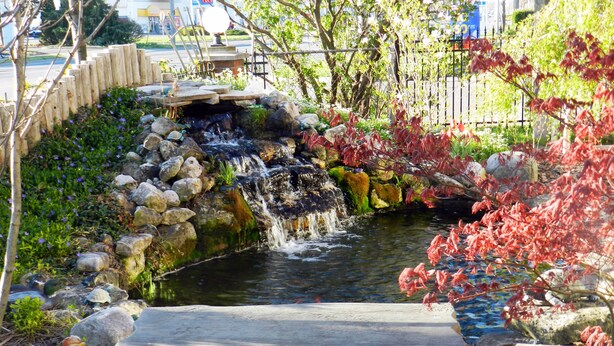 A garden with a stone bench, a small waterfall, and a variety of plants. - Capri Inn (St. Catharines)
