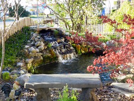 Um jardim com um banco de pedra, uma pequena cascata e diversas plantas.