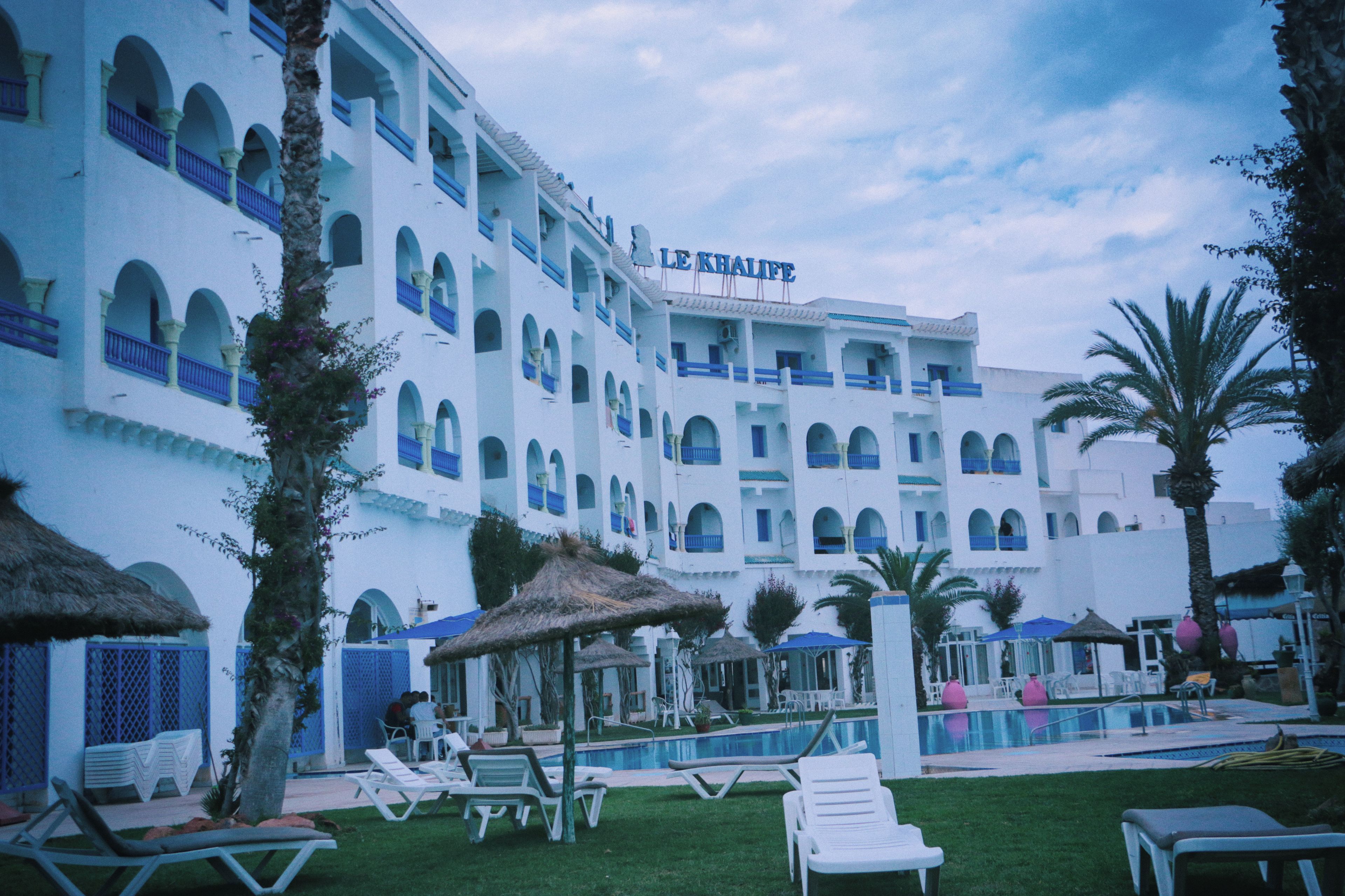 Un hotel con piscina, sillones de descanso y palmeras.