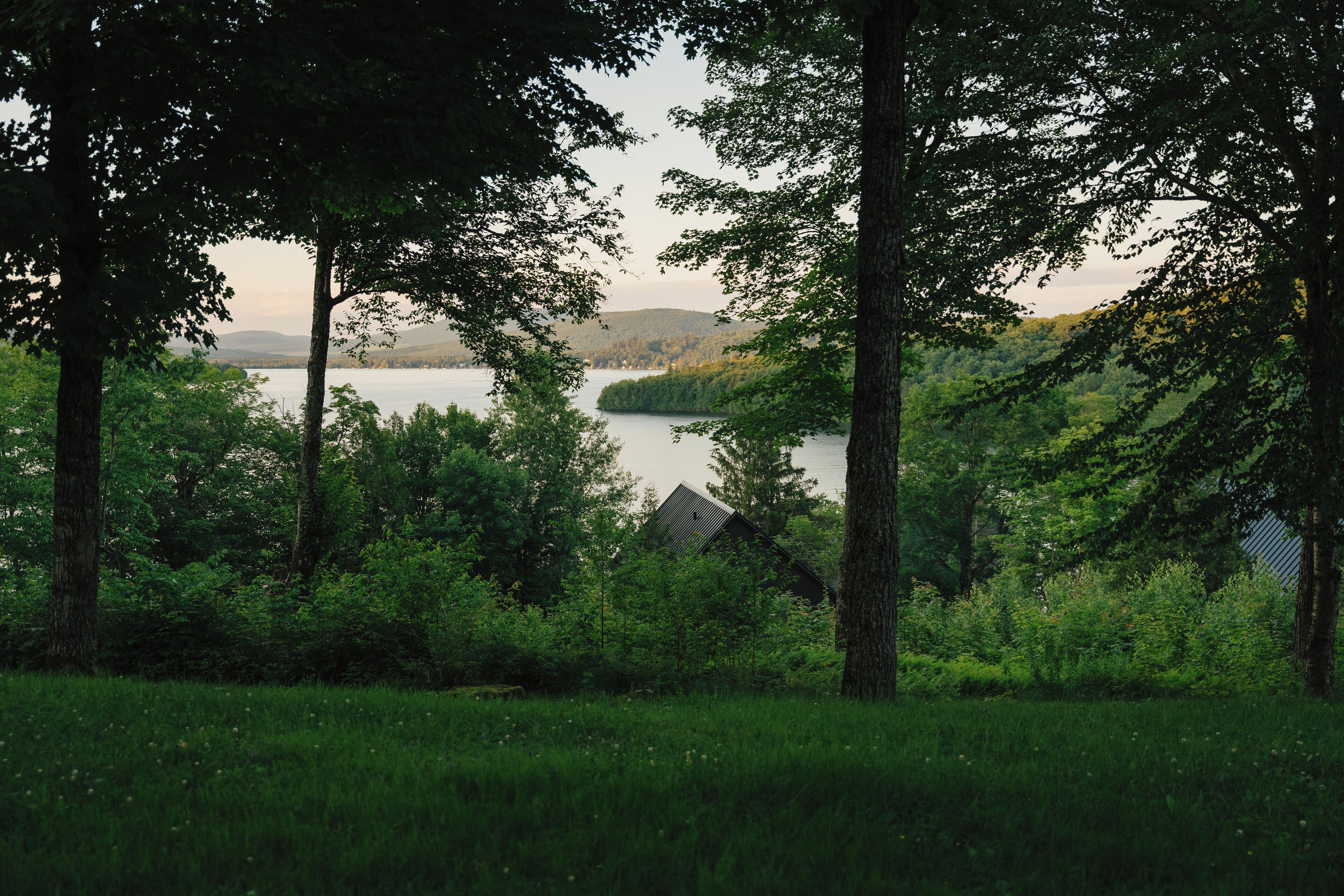 A forested area with a lake and a house in the background.