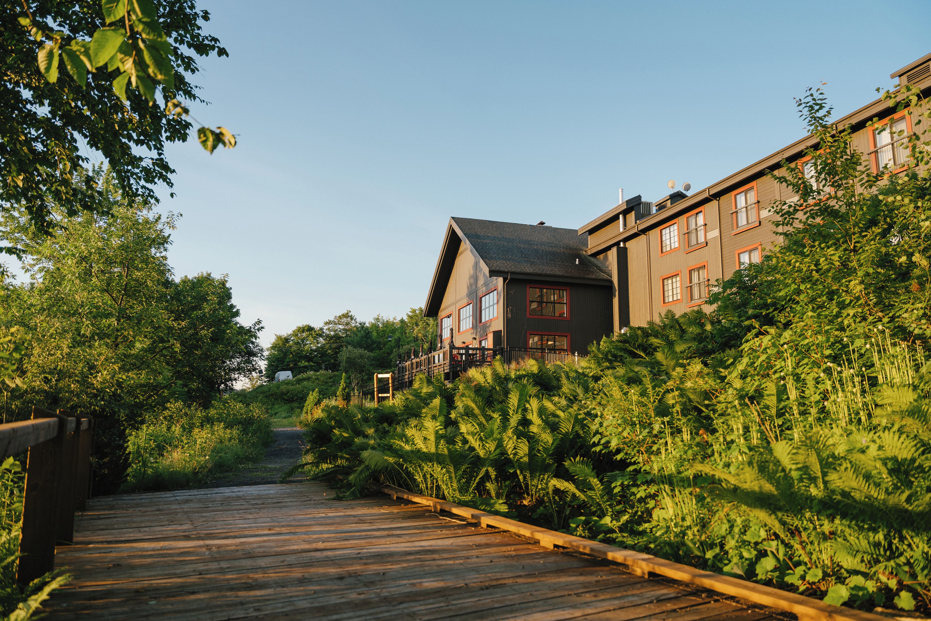 A wooden boardwalk leading to a building with multiple windows and a sloped roof, surrounded by dense greenery.