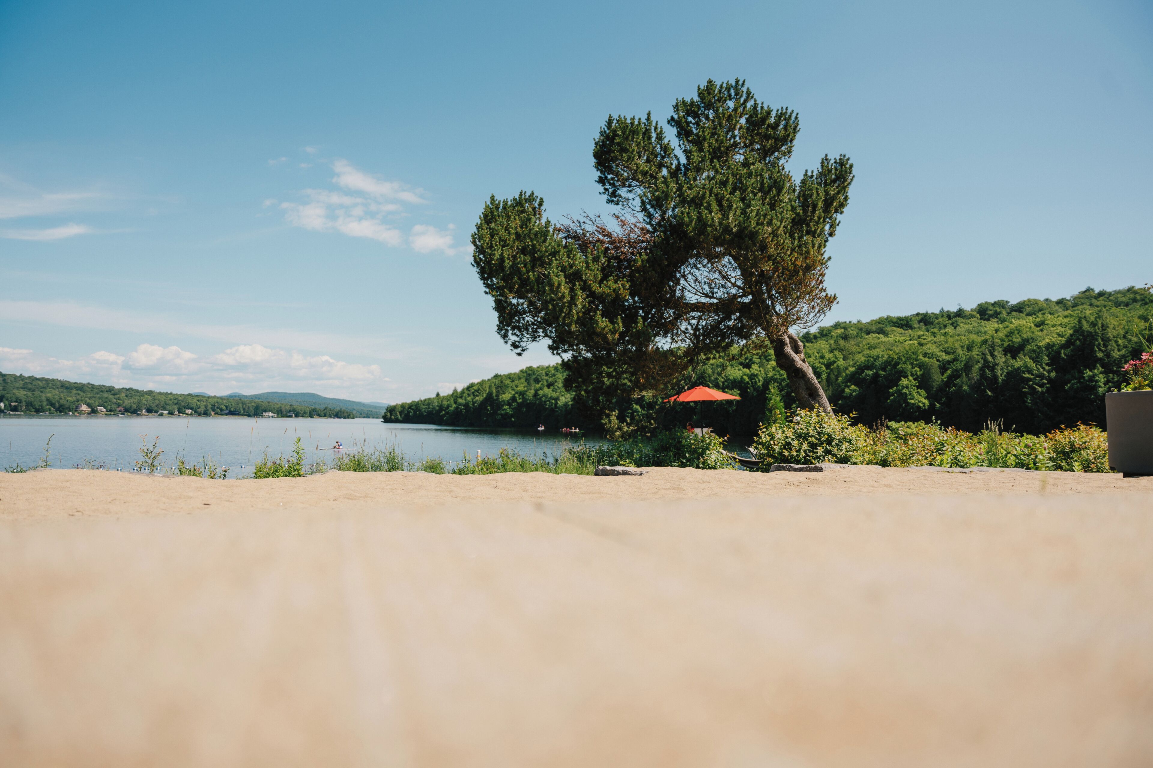 Una playa con un árbol, un paraguas rojo y vistas a un lago y colinas.