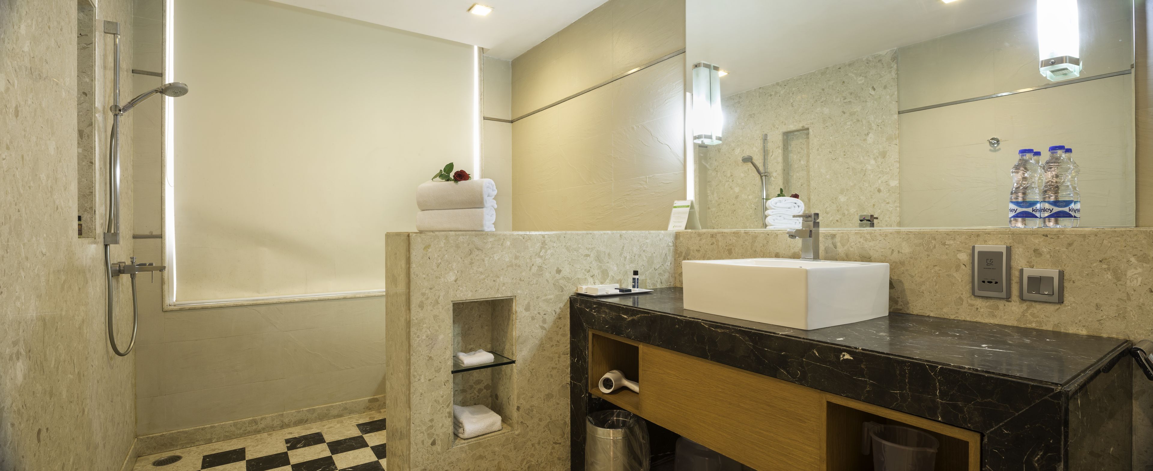 executive room | bathroom shower