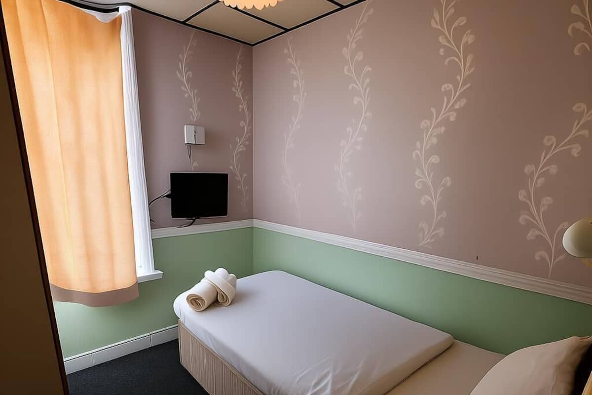 Standard Single Room, Private Bathroom | 1 bedroom