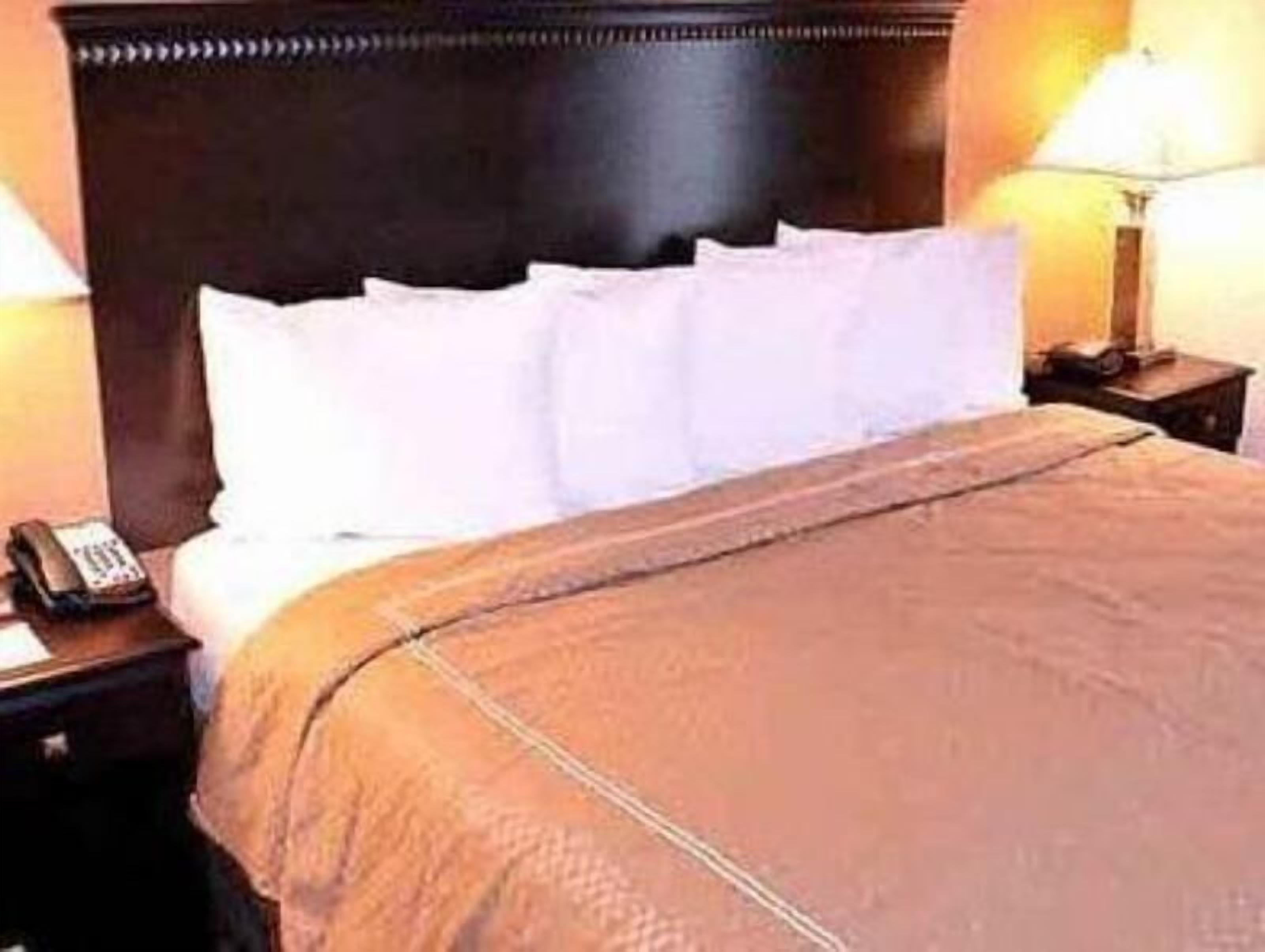 Ropa de cama de alta calidad, escritorio y cortinas blackout 