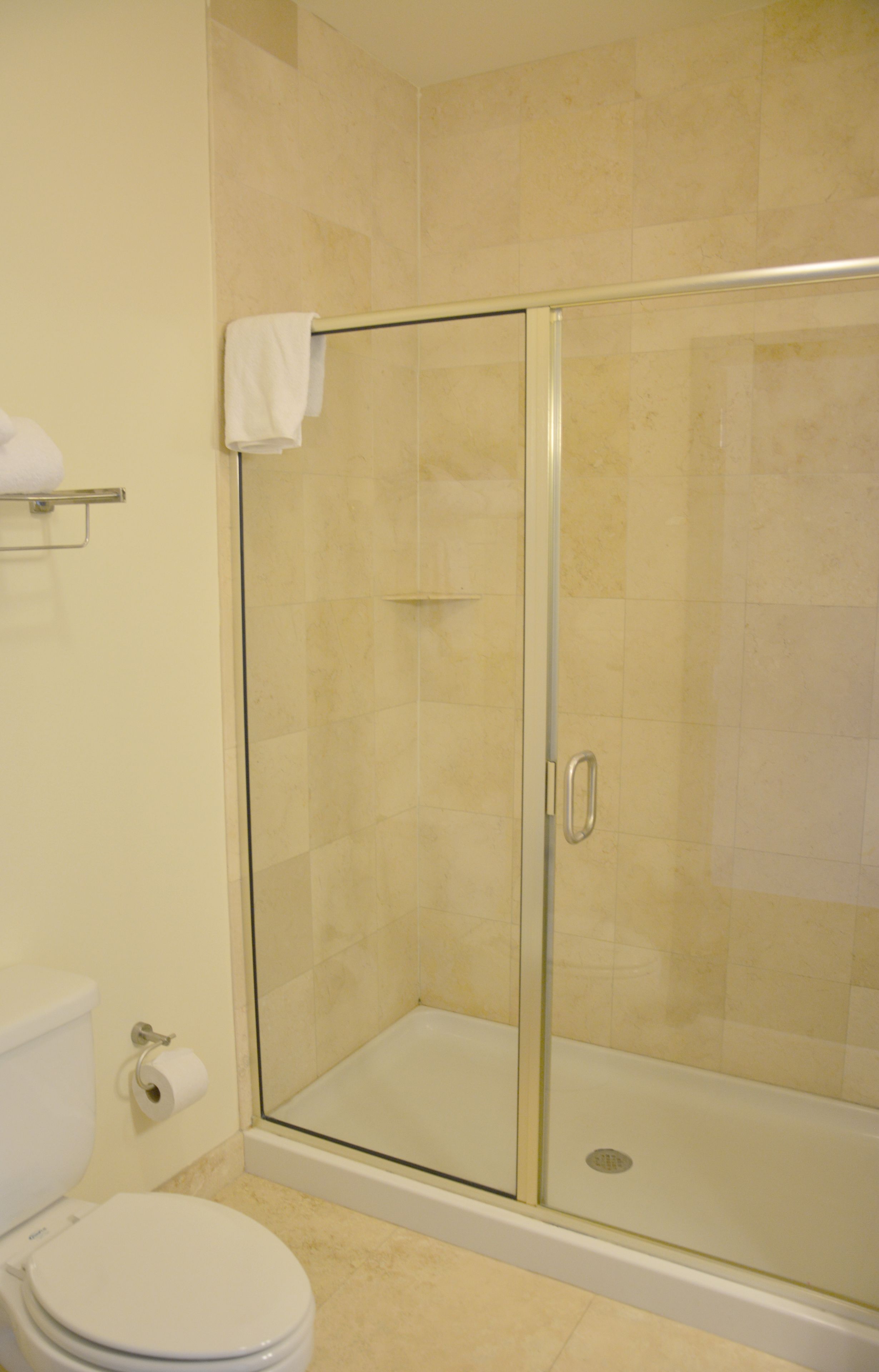 A bathroom with a glass-enclosed shower, a toilet, and a towel rack.