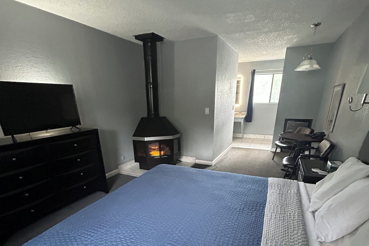 A bedroom with a bed, dresser, TV, and a wood-burning stove.