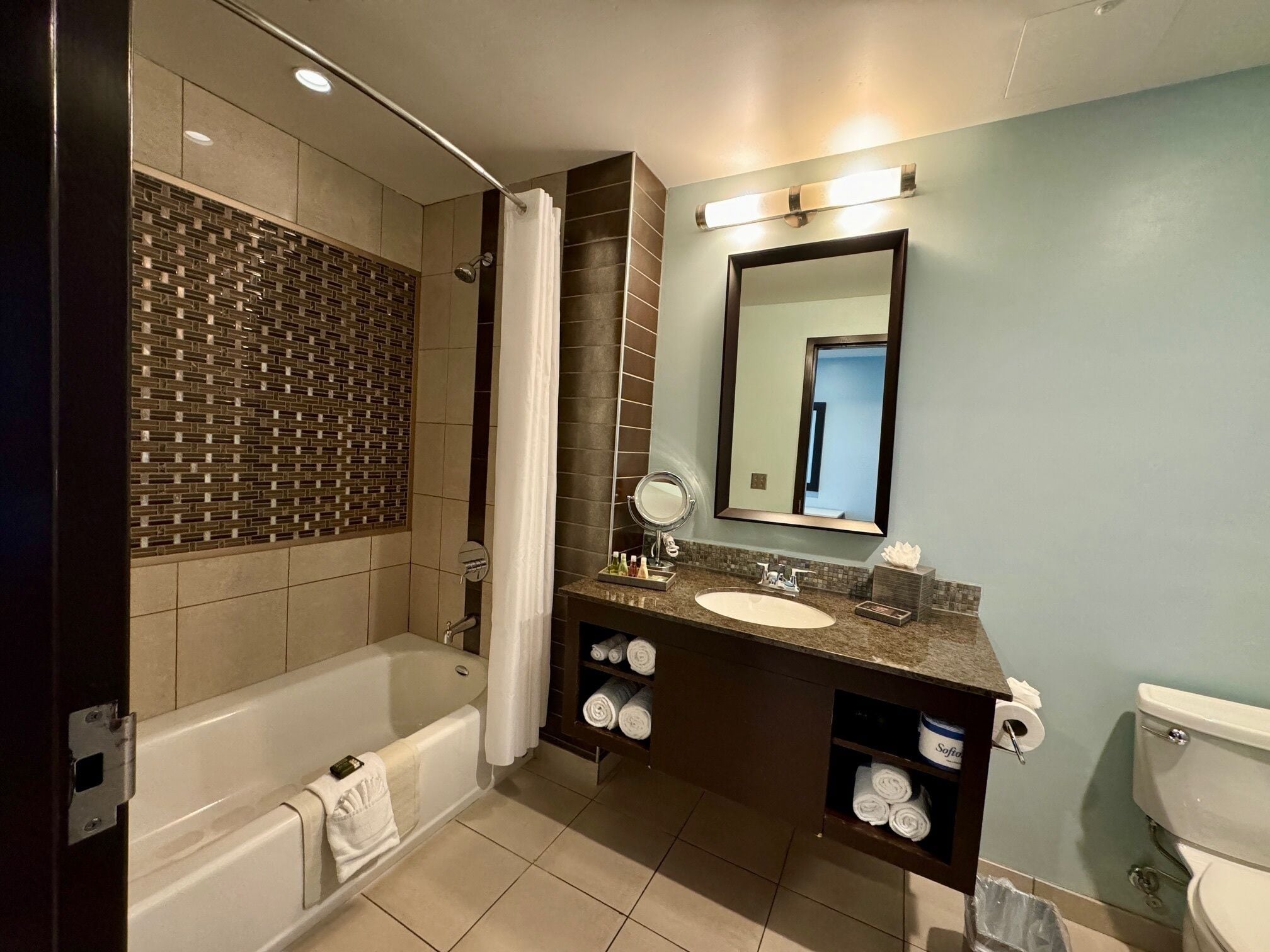 suite, 1 king bed with sofa bed | bathroom | free toiletries, hair dryer, towels