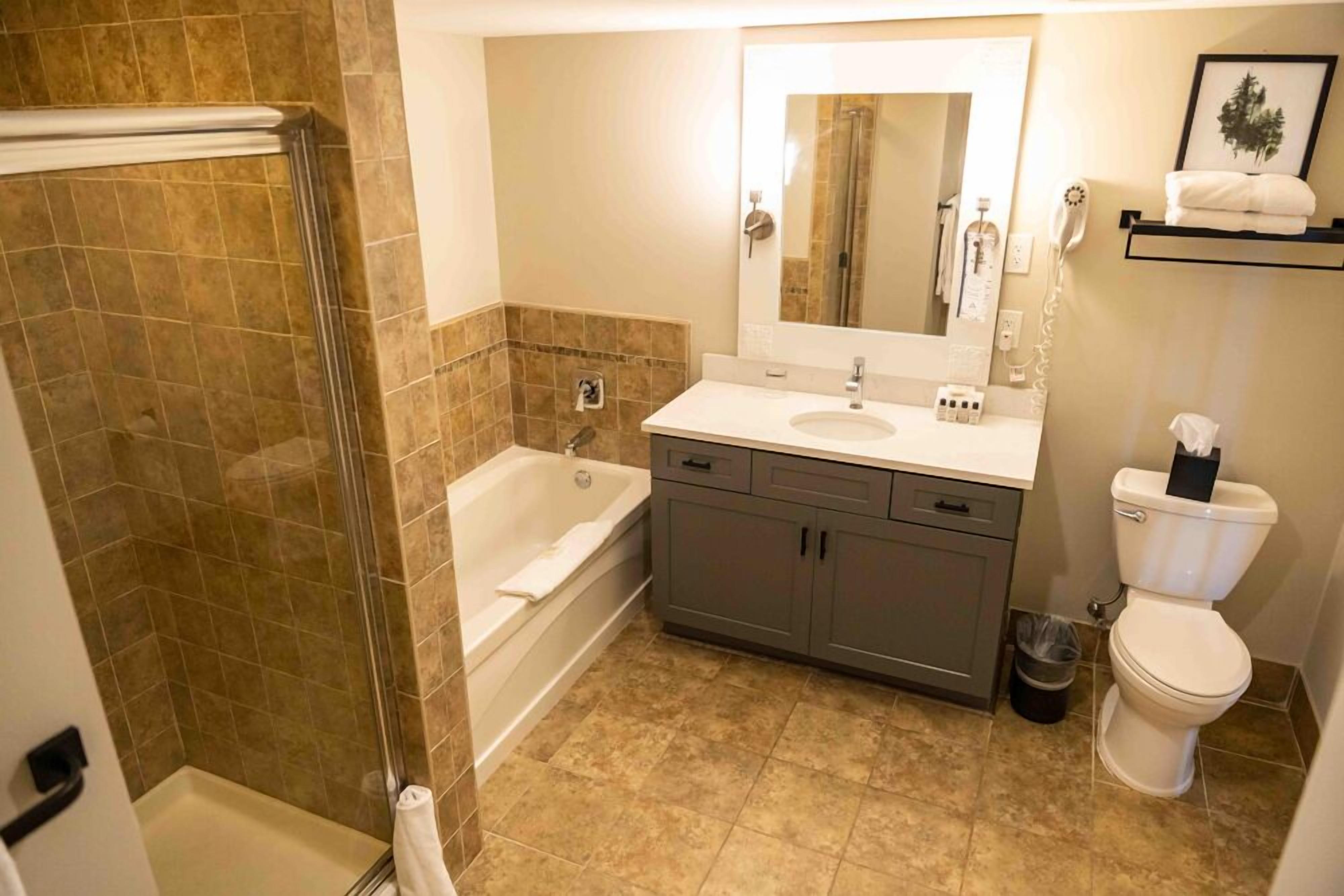 A bathroom with a bathtub, a sink, a toilet, and a shower area.