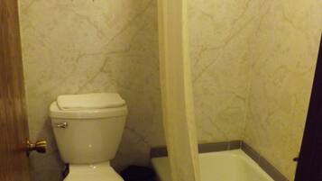 Een badkamer met toilet, douchegordijn en bad.